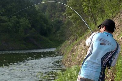 钓鲫鱼实用技巧,一年四季都可以作钓