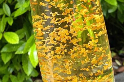 月饼的种类介绍,包括广式月饼、苏氏月饼、京式月饼等类型