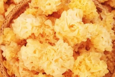 我国哪些地方产银耳,古田、通江、固原等地的银耳非常出名