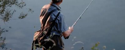 钓鲶鱼的饵料有哪些，喜欢腥味重的饵料