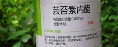芸苔素的使用方法,可以叶面喷施也可拌种