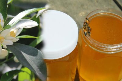 柑橘蜜的价格,零售价大约在30-50元一斤左右