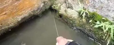 哪种黄鳝诱饵比蚯蚓更好,适宜选择有螺蚌肉及禽畜内脏