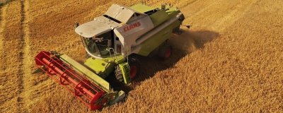 夏秋季节的农事有哪些，6月中旬常收割小麦