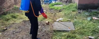 除草剂的作用原理，可破坏激素的平衡和抑制光合效率