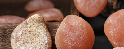 什么是青鱼石,属于青鱼咽喉部位的增生角质