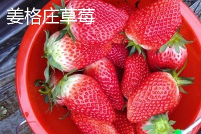 山东莱西的特产,是国务院确定的沿海地区对外开放县市之一