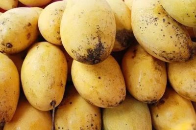 如何辨别芒果是否成熟,可以看果肉、果皮、果蒂来辨别