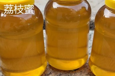 乌桕蜜和荔枝蜜哪个好,后者的色泽和口感都更优