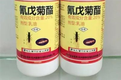 菊酯类杀虫剂可以杀哪些虫,甲氰菊酯可防治咀嚼式和刺吸式口器害虫