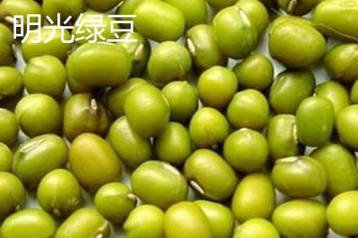 安徽省明光市的特产，明光梅鱼一直列为席上佳肴