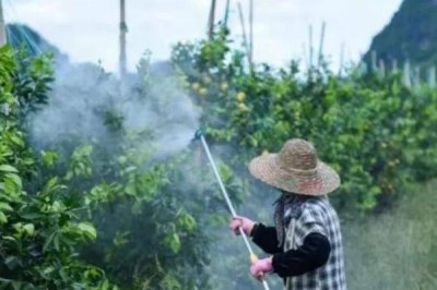 为什么禁用二氯丙烯,其对人体有着非常大的危害