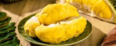 我国大陆地区最贵的水果，猫山王榴莲的售价达到数百元/个