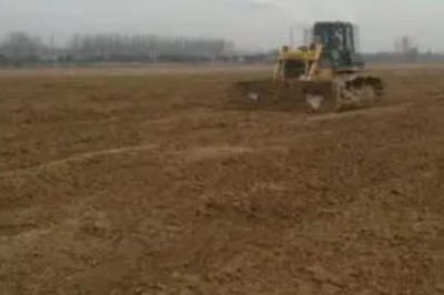 黑玉米种子售价以及如何种植，一斤需要40-60元左右