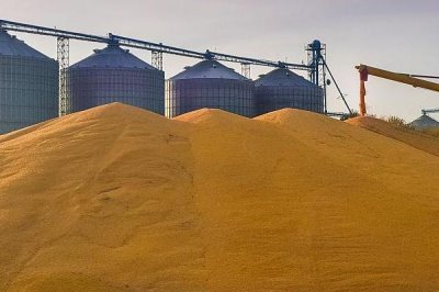 稻谷堆温度过高会怎样，会产生霉变，甚至是发芽霉烂