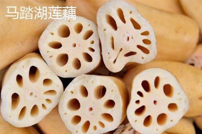 莲藕的产地有哪些,洪湖、新垦和襄陵的莲藕出名
