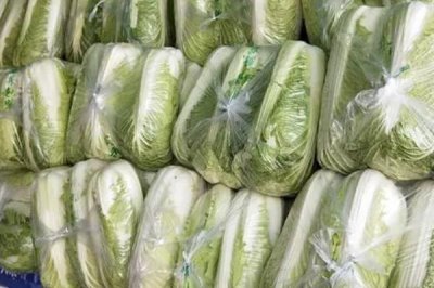 大白菜产品的发展趋势，加工专用品种将成为育种目标之一