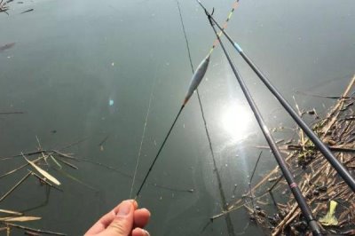 黑漂形成的原因,斜拉黑漂中鱼率高