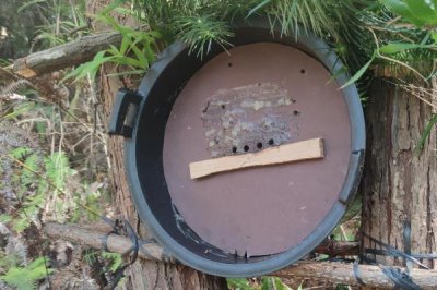 诱蜂桶放在什么位置合适，要满足蜂群、蜜源和筑巢条件