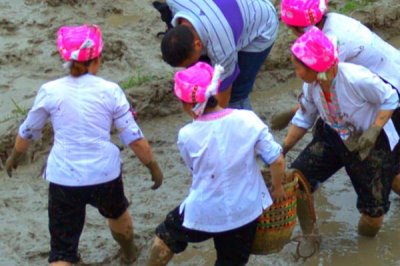 野生泥鳅几月份出洞,一般会在5月份外出交配