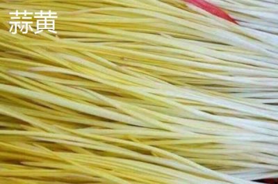 蒜苗和蒜黄的区别，外观和食用方式均不同