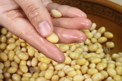 怎么制作肥料,先需要准备合适的原料