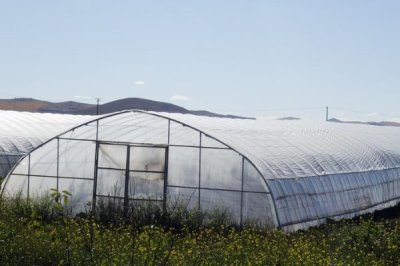 冬季大棚为什么温度低,可能是棚膜出现破损所导致