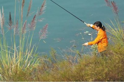 钓鲤鱼用什么鱼钩,可选择伊势尼钩、伊豆钩等