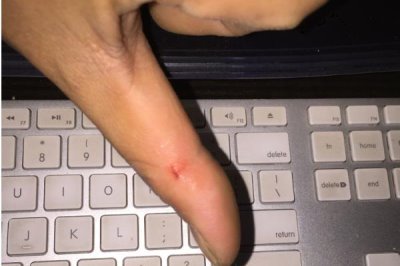 狗狗被惯坏的表现,表现为人来疯、无理取闹等