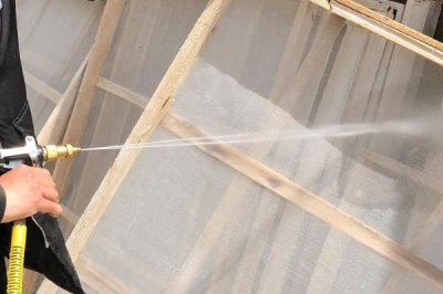 养蚕的注意事项,一定要选择新鲜的桑叶