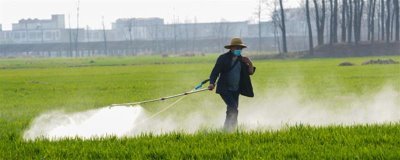 小麦除草剂可以和叶面肥混打吗,除草剂不可和叶面肥混合打