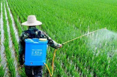 使用杀虫剂有哪些注意事项,根据气候特点和害虫活动规律选择施药时间