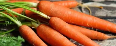 胡萝卜能不能生吃，生吃营养价值更高