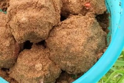 冬钓鲫鱼用袖钩好还是溪流钩，袖钩是钓鲫鱼的首选钩型