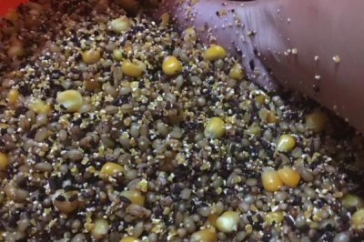 怎么钓鲤鱼,腥味和香味饵料鲤鱼都喜爱