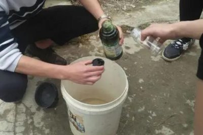 敌敌畏的特点及使用注意事项,对蜜蜂、瓢虫和食蚜虻有较强杀伤力