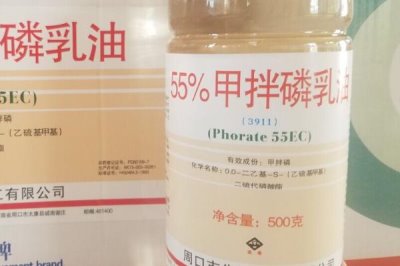 甲拌磷相关介绍，属于高效、广谱内吸性杀虫杀螨剂