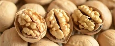 核桃的价格,一斤需要10-20元左右