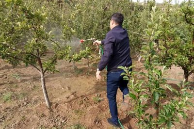 有哪些叶面肥，常见的有尿素、过磷酸钙等