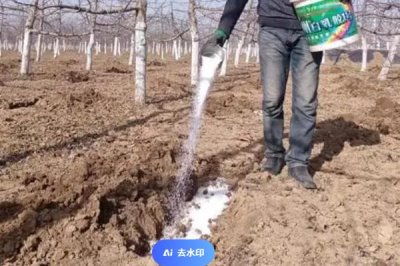 施肥的注意事项，以下5点需谨记