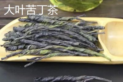 苦丁茶的种类，分为大叶苦丁茶和小叶苦丁茶