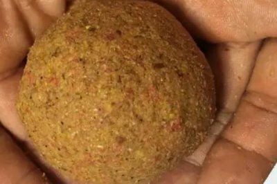 秋天夜钓用什么饵料,可选自然饵料、商品饵料或自制饵料