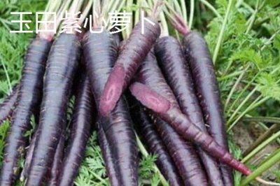 河北省安新县的特产,白洋淀熏鱼深受旅客欢迎