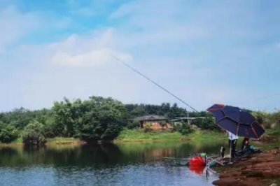 钓鳊鱼的技巧,选好位置非常重要