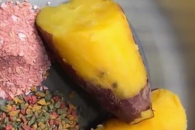 钓大鱼适合用什么饵料,蚯蚓、玉米、红薯等饵料均是不错的选择