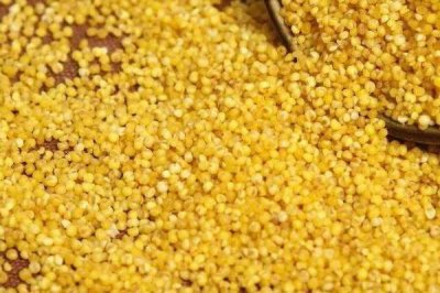 初夏怎么钓鱼,具有水草、深度为1-2米的水域可作为首选钓点