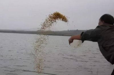 河里钓鱼用什么饵料好,需要考虑到天气和温度因素