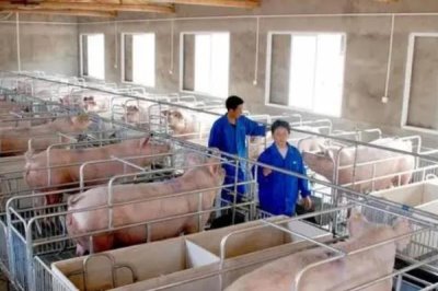 如何规划50亩农场，首先要确定1个恰当的主题