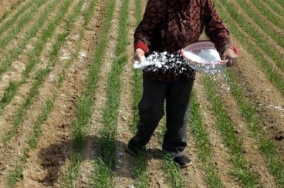 过磷酸钙有几种施用方式,可以作基肥、种肥、追肥和根外施肥