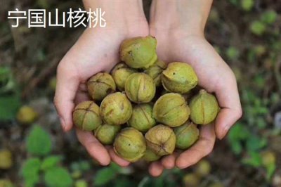 安徽省宣城市的特产,宣城茶叶深受消费者喜爱